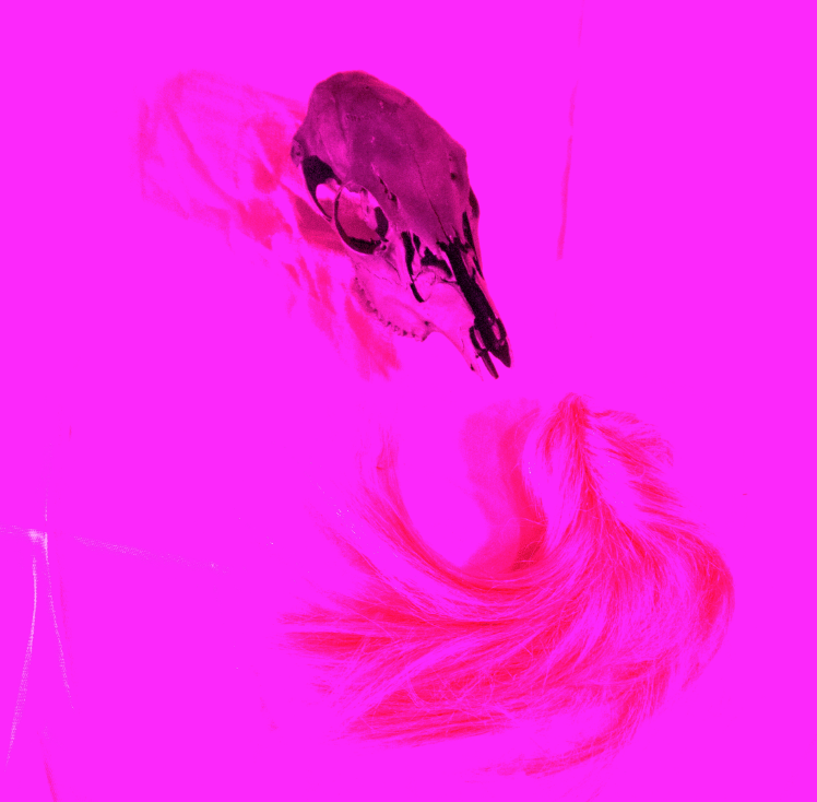 Creative Destination - image 1 - student project