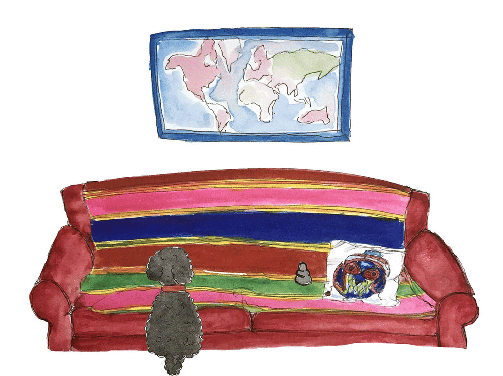 Dog on the couch! (project UPDATED) - image 2 - student project