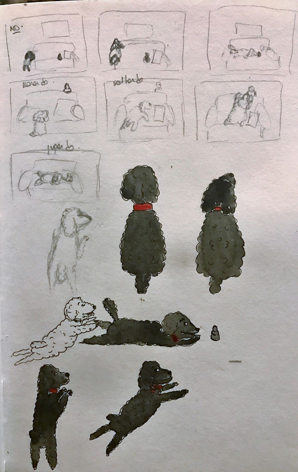 Dog on the couch! (project UPDATED) - image 1 - student project