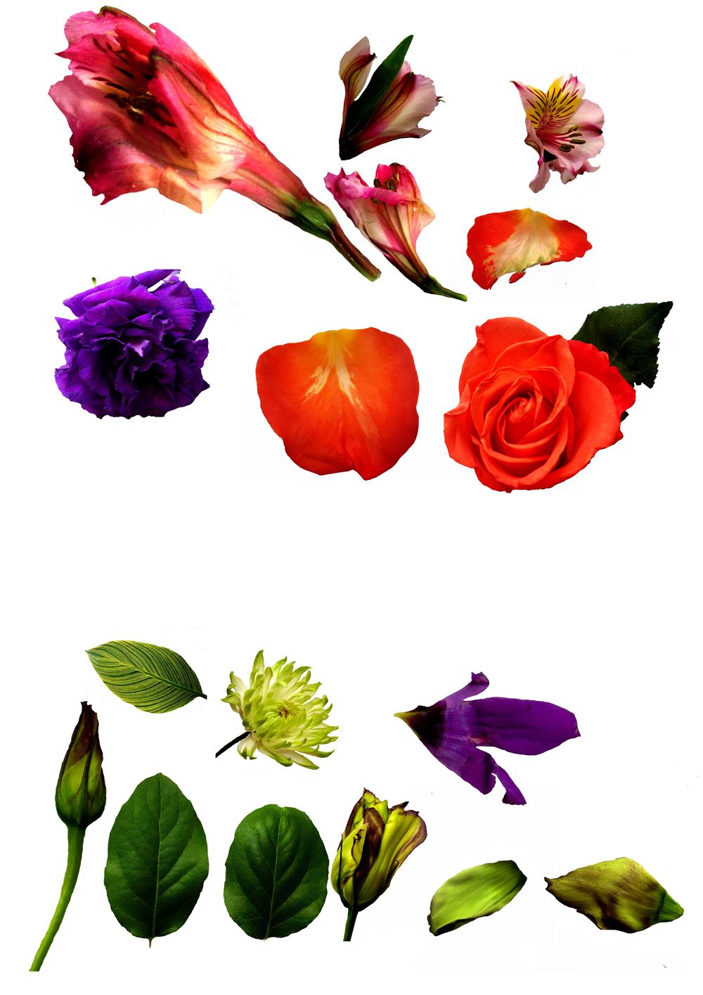 Flower Market Collage - image 6 - student project