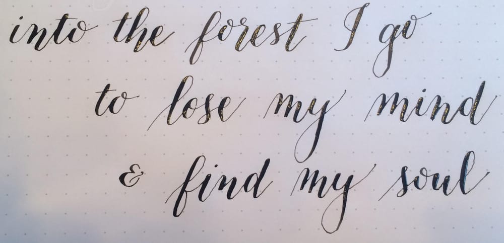 Into the forest I go - image 1 - student project