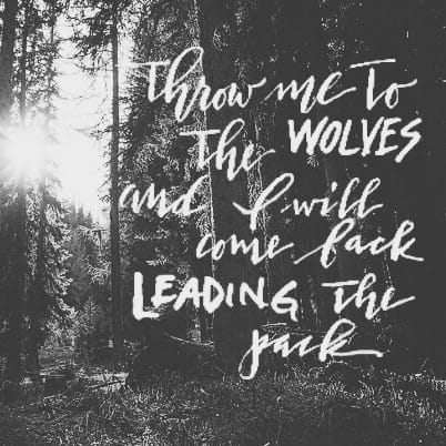 Throw me to the wolves... - image 1 - student project