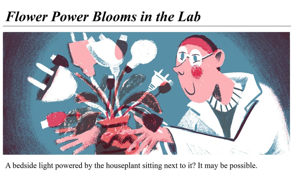 flower power - image 2 - student project