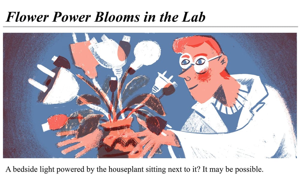 flower power - image 3 - student project