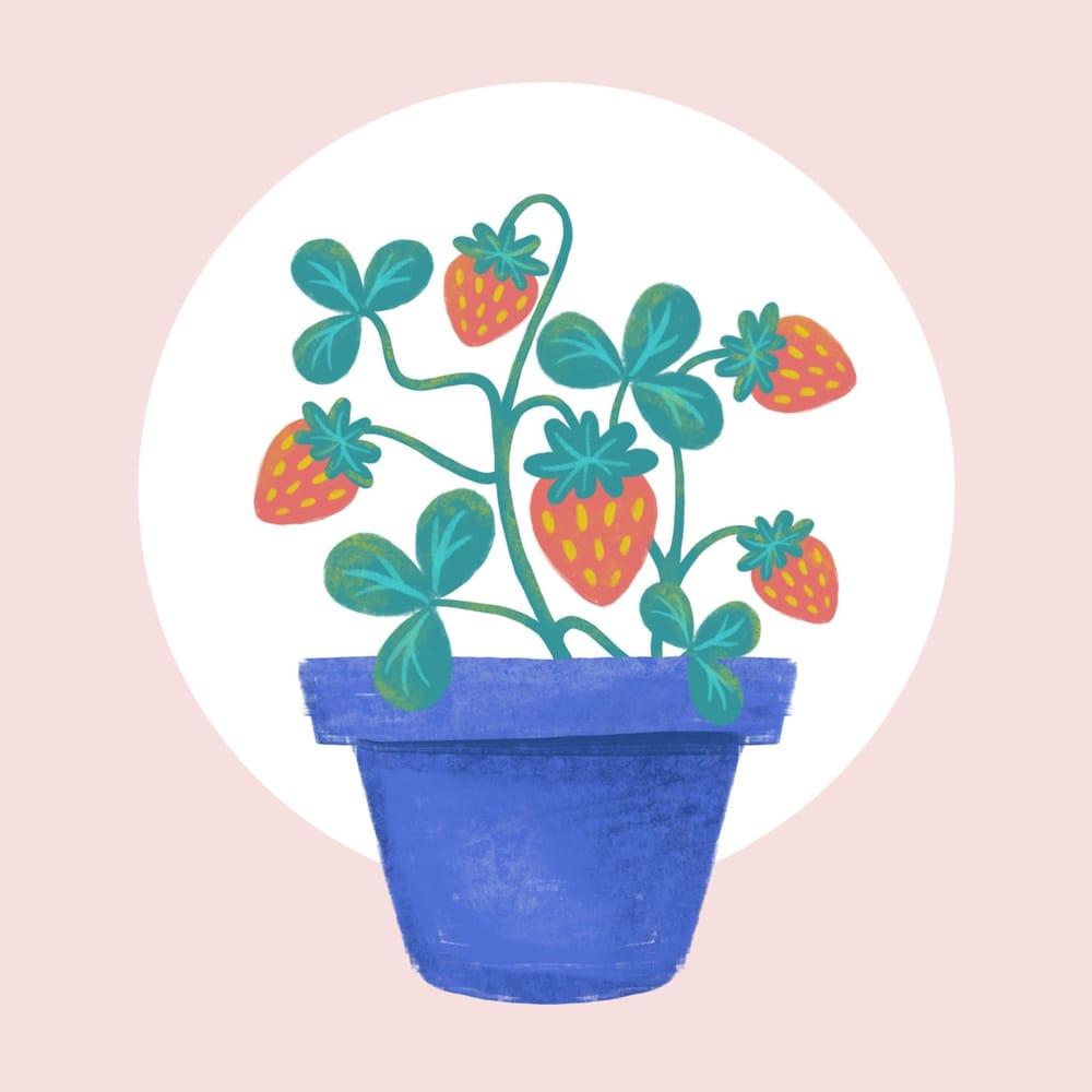 Beginner Procreate Projects Skillshare Student Project