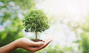 Growing is Personal - image 1 - student project