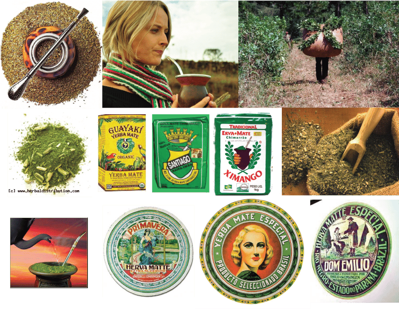 Chimaraw: Premium Super Food Erva Mate - image 1 - student project