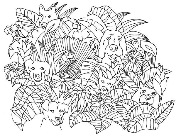 Dogs Gone Wild! - image 5 - student project