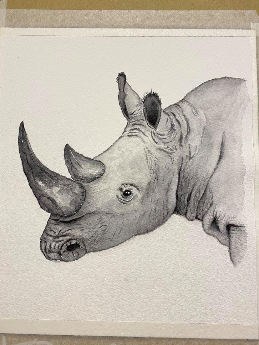 my first watercolor painting (rhino) - image 2 - student project