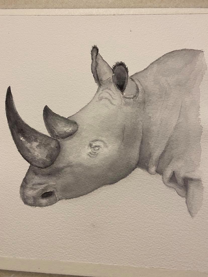 my first watercolor painting (rhino) - image 3 - student project