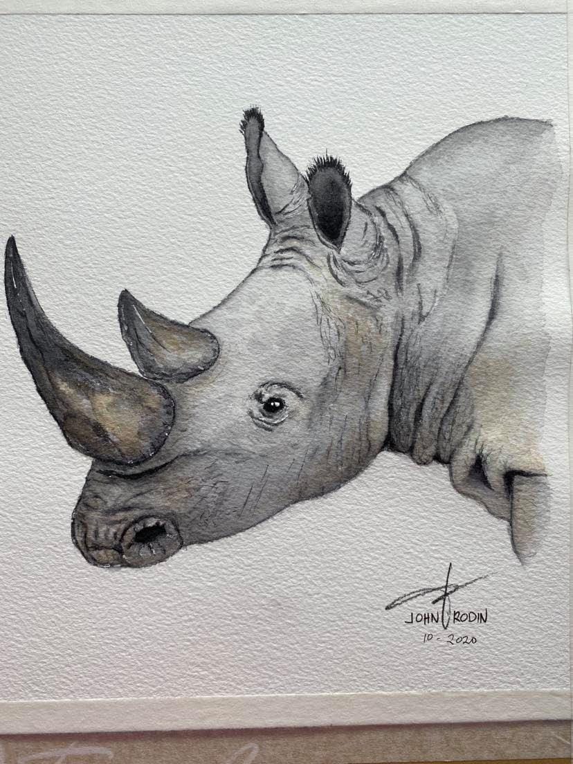my first watercolor painting (rhino) - image 1 - student project