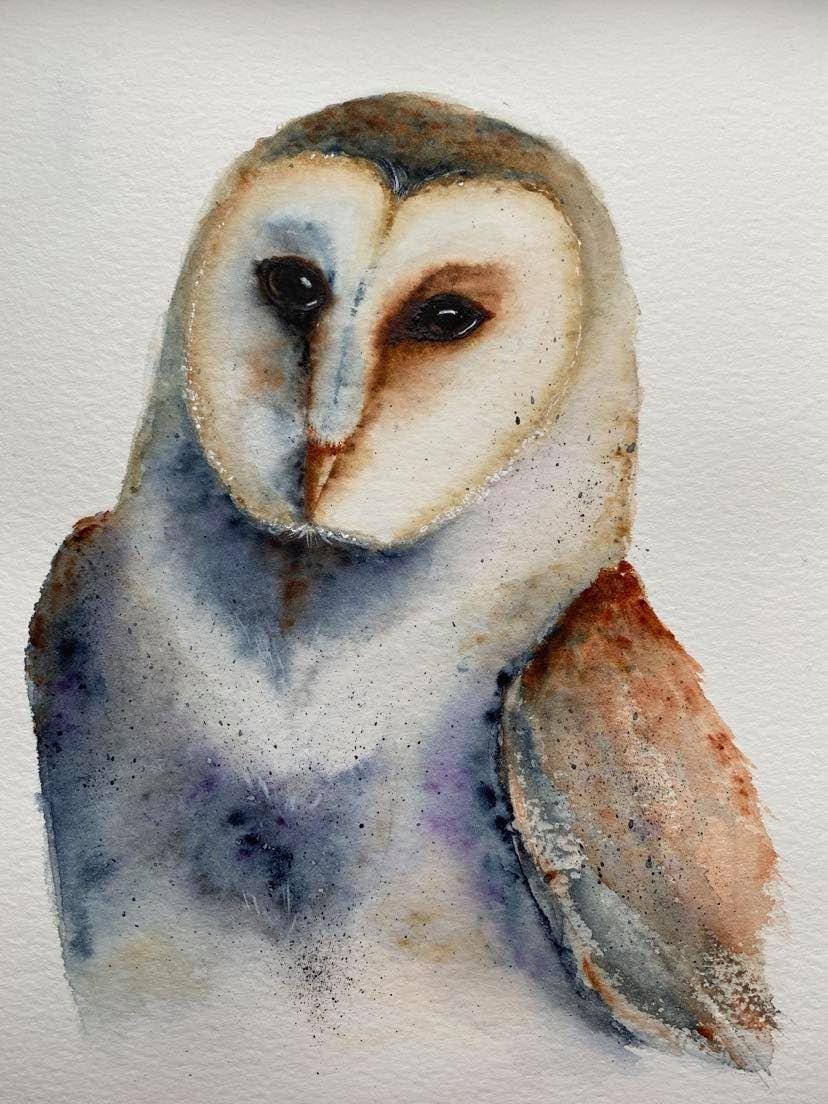 barn owl project - image 1 - student project