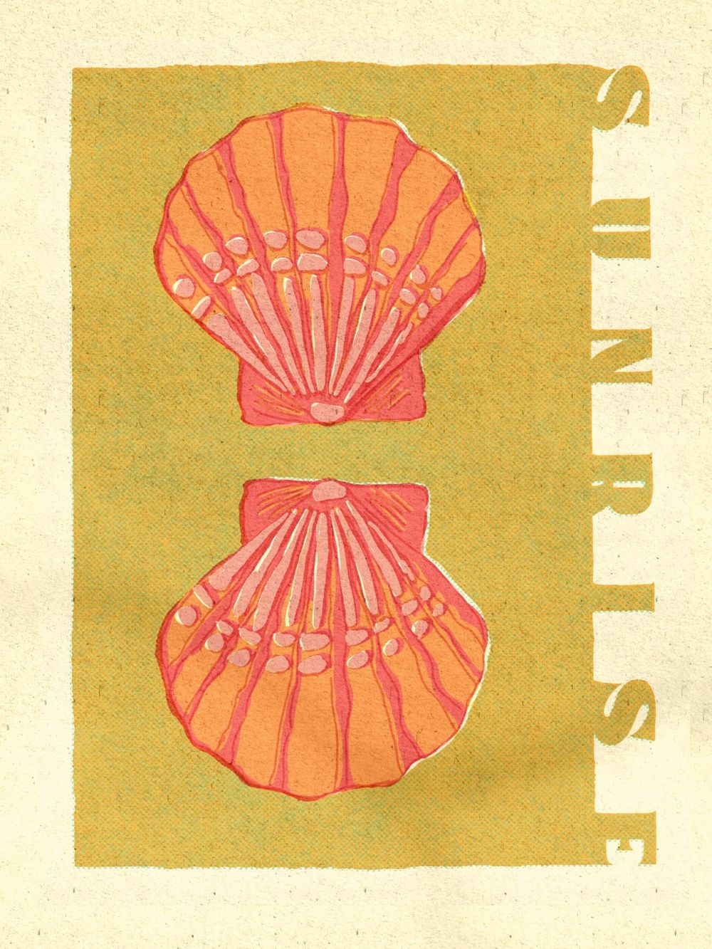Seashells - image 2 - student project