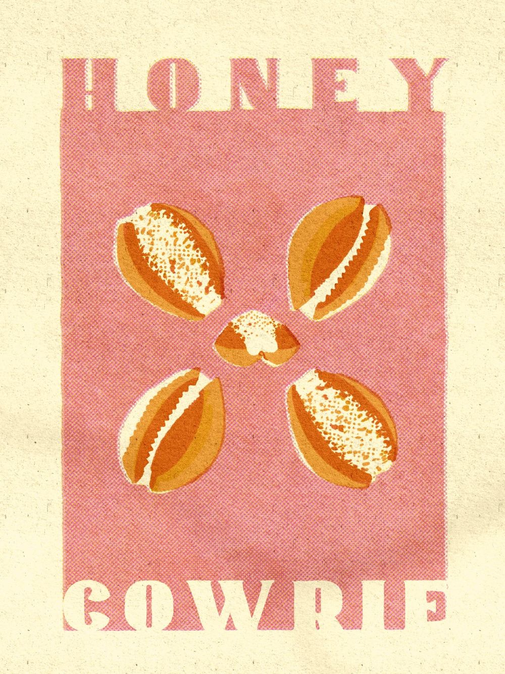 Seashells - image 3 - student project