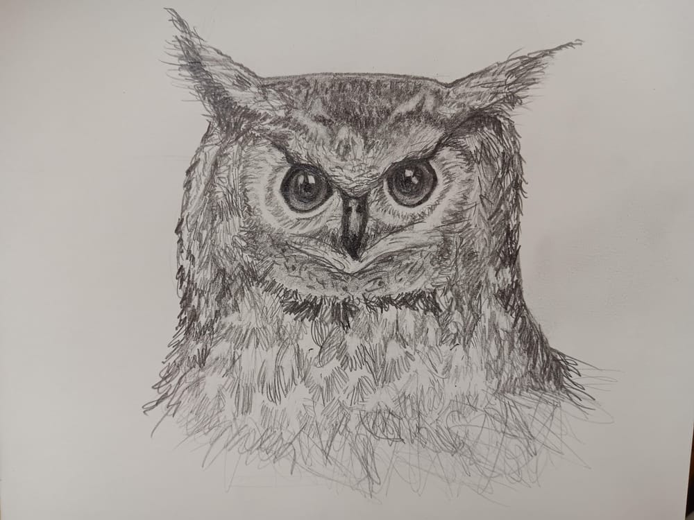 Owl in Pencil - image 1 - student project
