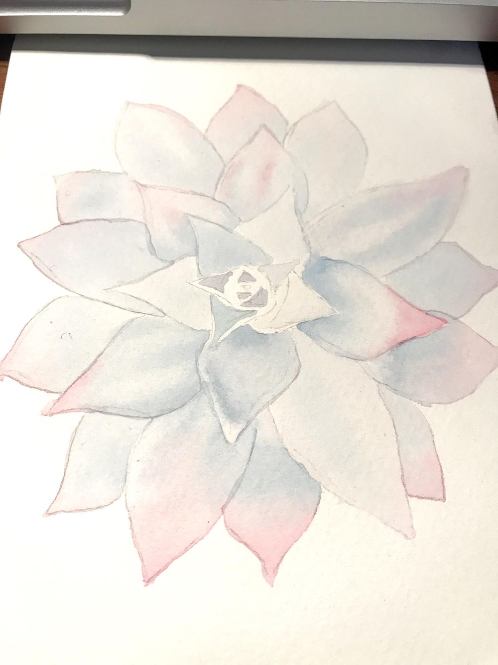 Blue/Pink Succulent - image 2 - student project