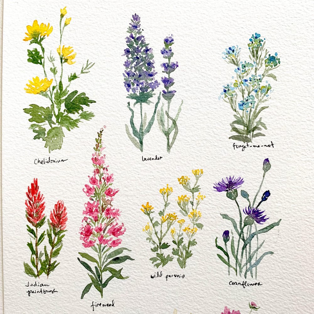 Pretty Little Wildflowers - image 2 - student project