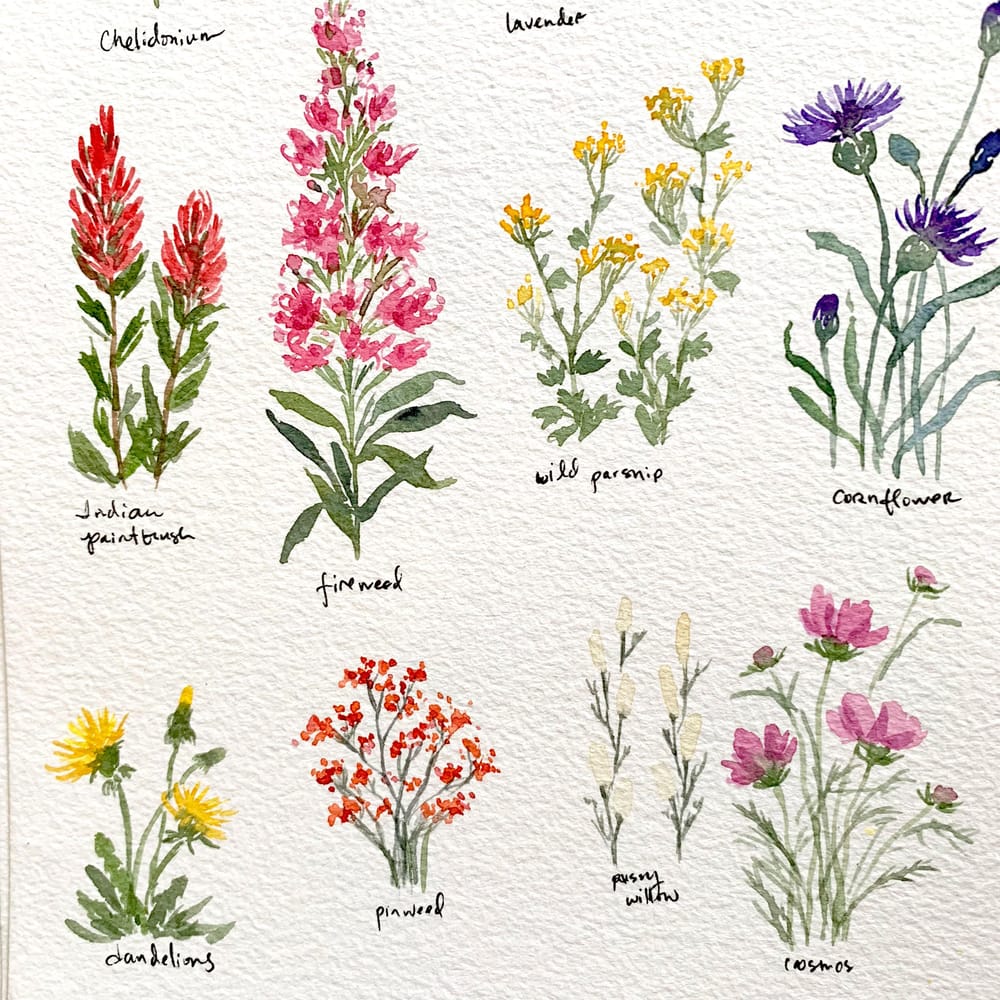 Pretty Little Wildflowers - image 3 - student project