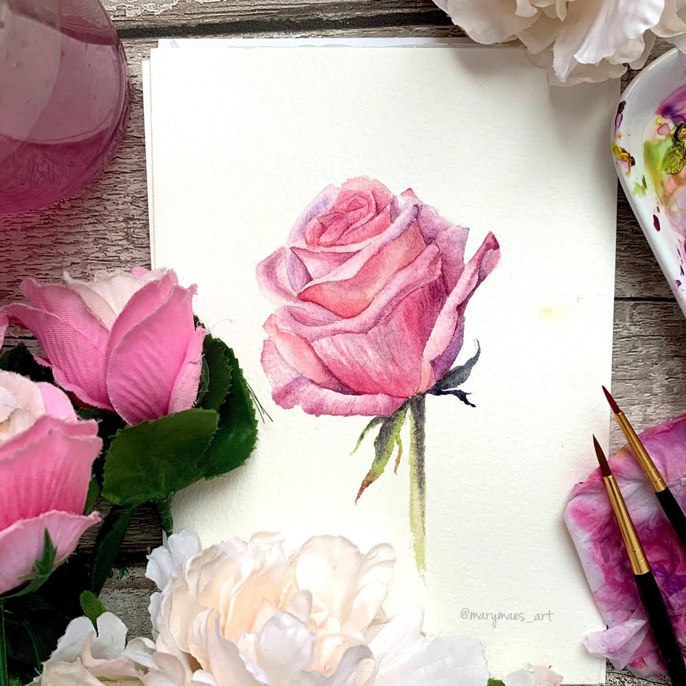 A rose by any other name - image 2 - student project