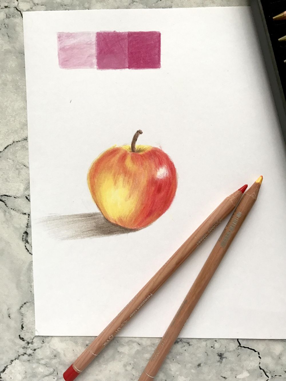First Try at using Coloured Pencils - image 1 - student project