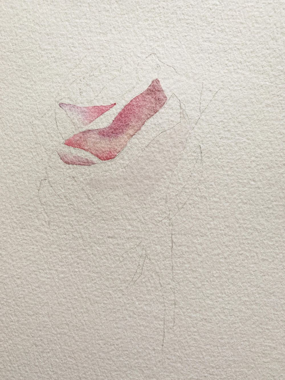 A rose by any other name - image 1 - student project