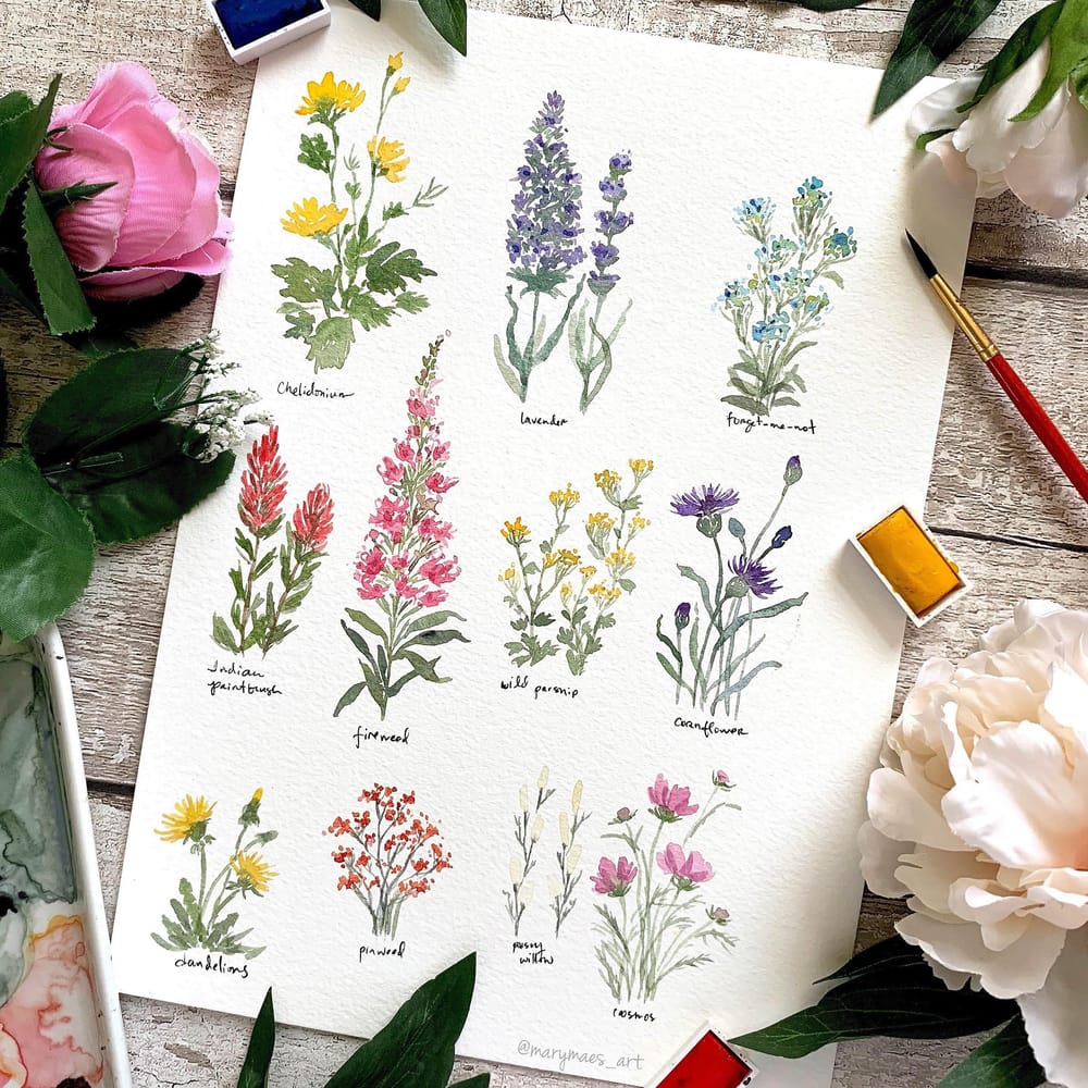 Pretty Little Wildflowers - image 1 - student project
