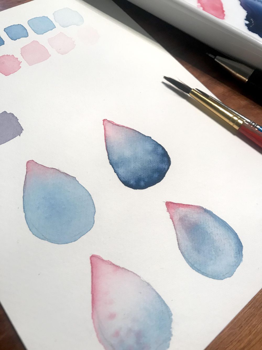 Blue/Pink Succulent - image 1 - student project