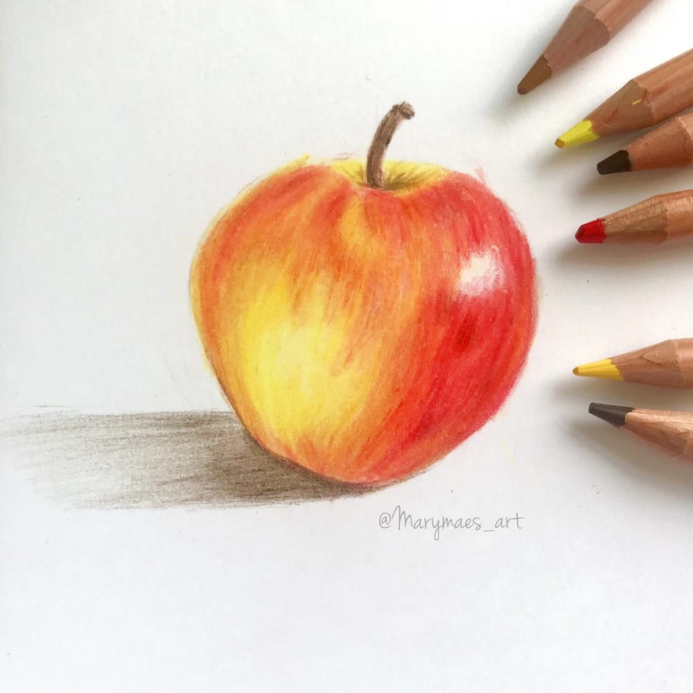 First Try at using Coloured Pencils - image 2 - student project