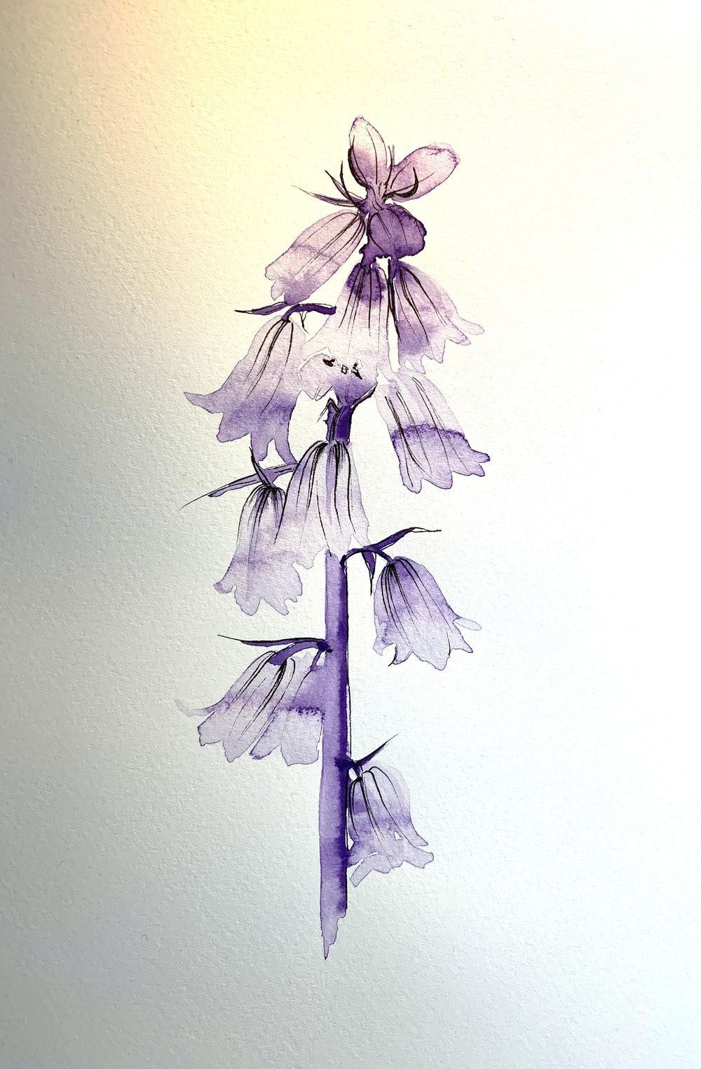 Loose Watercolour Florals - image 7 - student project