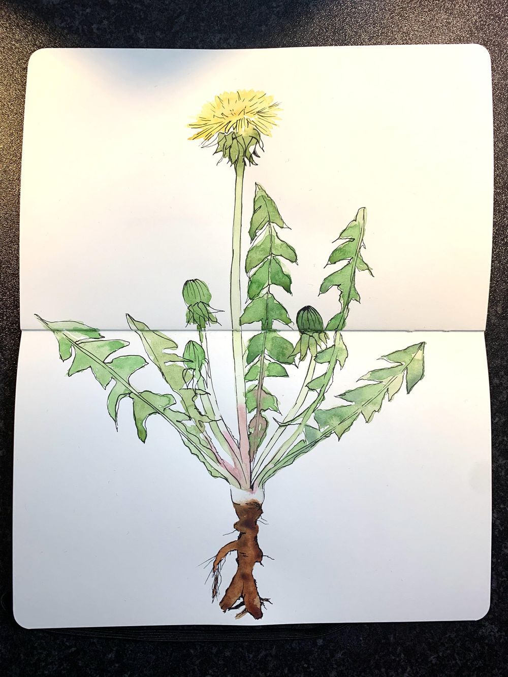 Loose Watercolour Florals - image 6 - student project