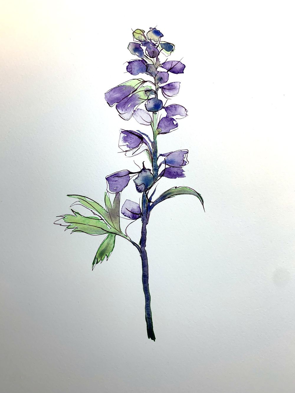 Loose Watercolour Florals - image 3 - student project