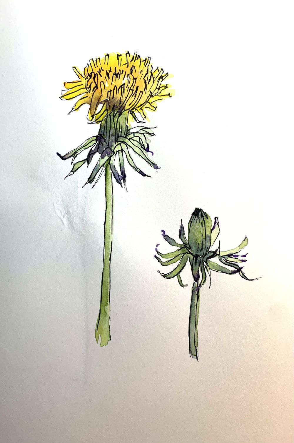 Loose Watercolour Florals - image 5 - student project