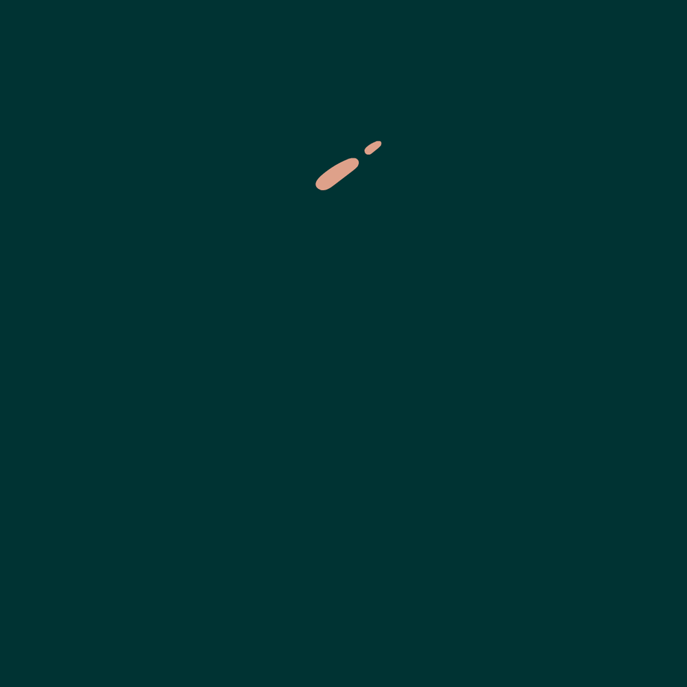 Basics of Hand-Drawn Animation - image 3 - student project