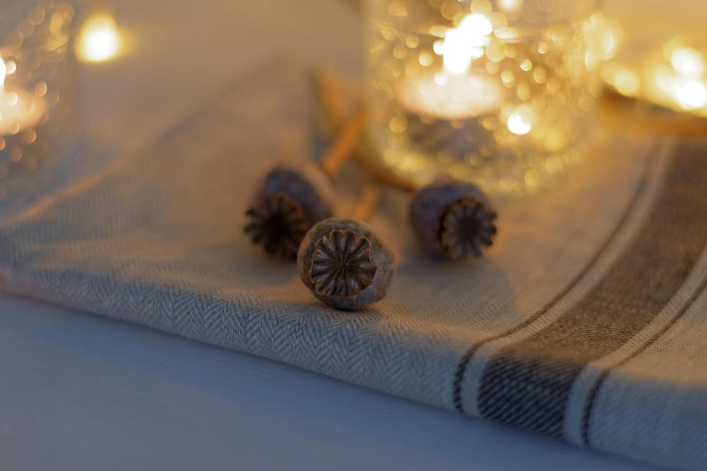 Cookies and lights - image 5 - student project