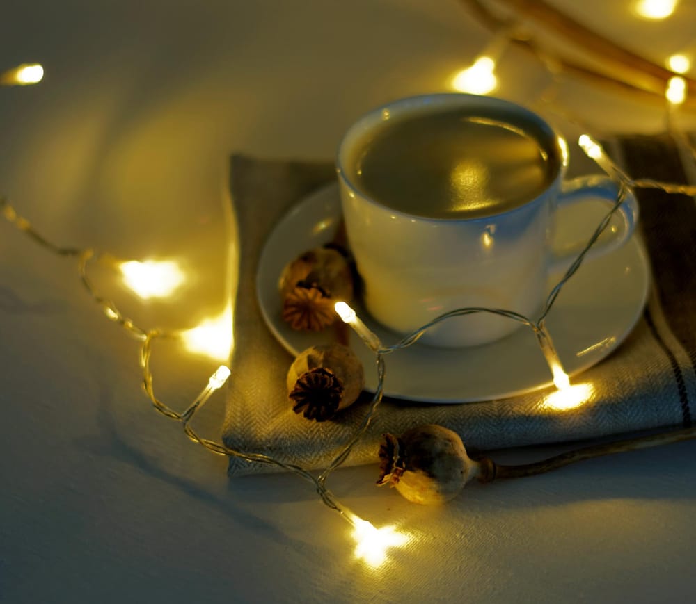 Cookies and lights - image 2 - student project