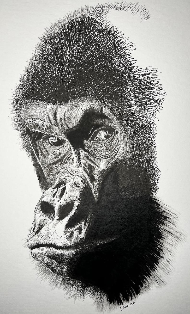 Here's looking at you - image 1 - student project