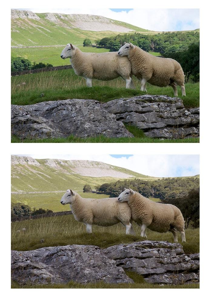 Photoshop: Colour-change tools - image 3 - student project