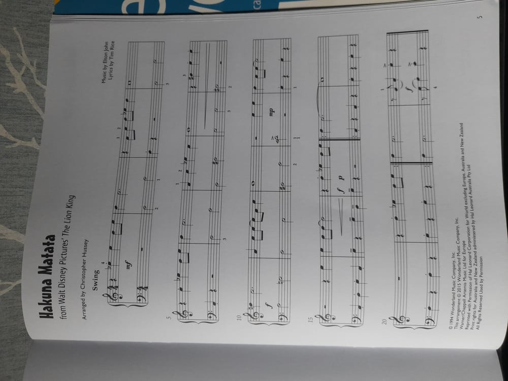 Hakuna Matata - The lion King Grade 1 Piano - image 1 - student project