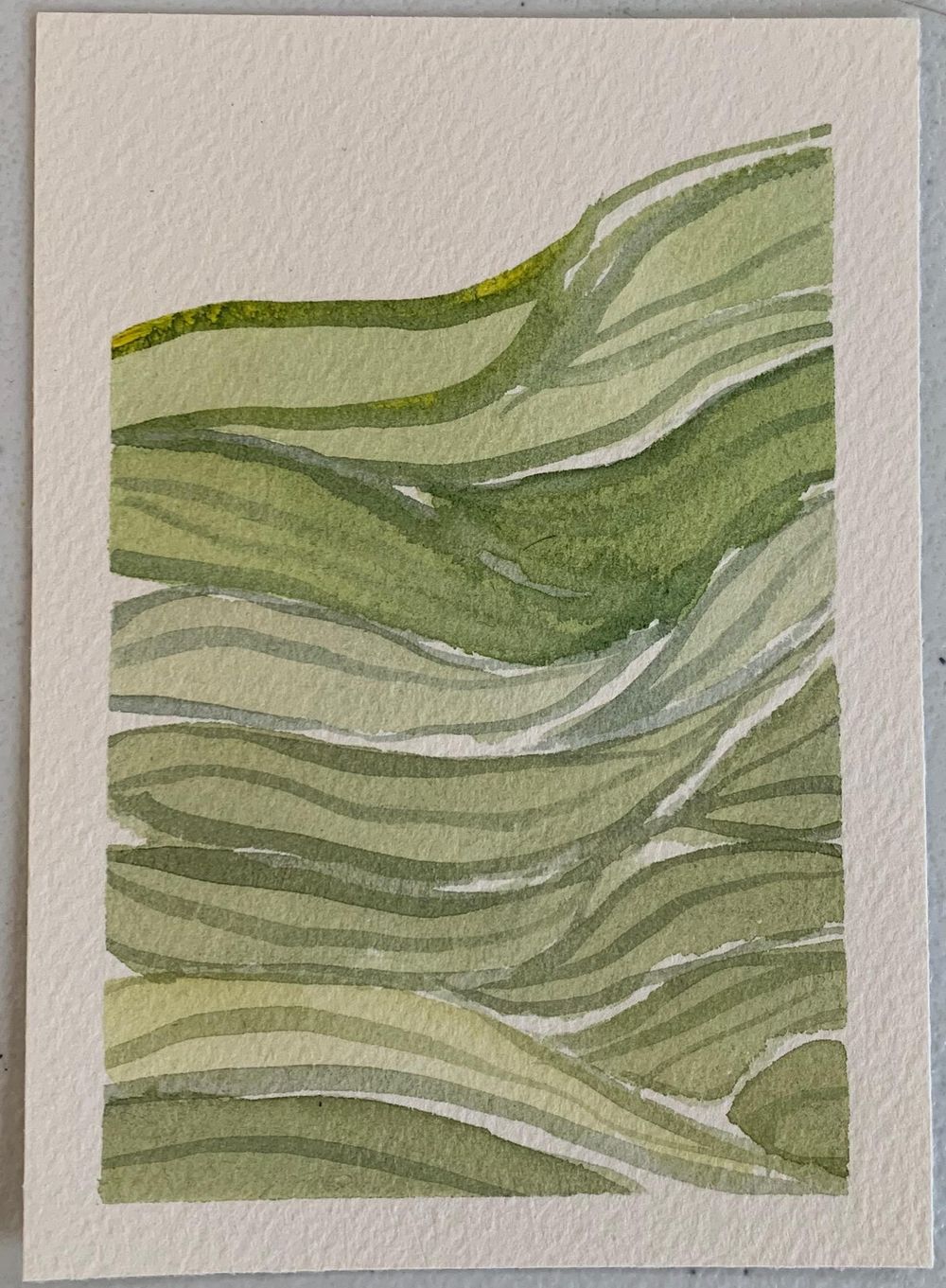 Greens - image 2 - student project
