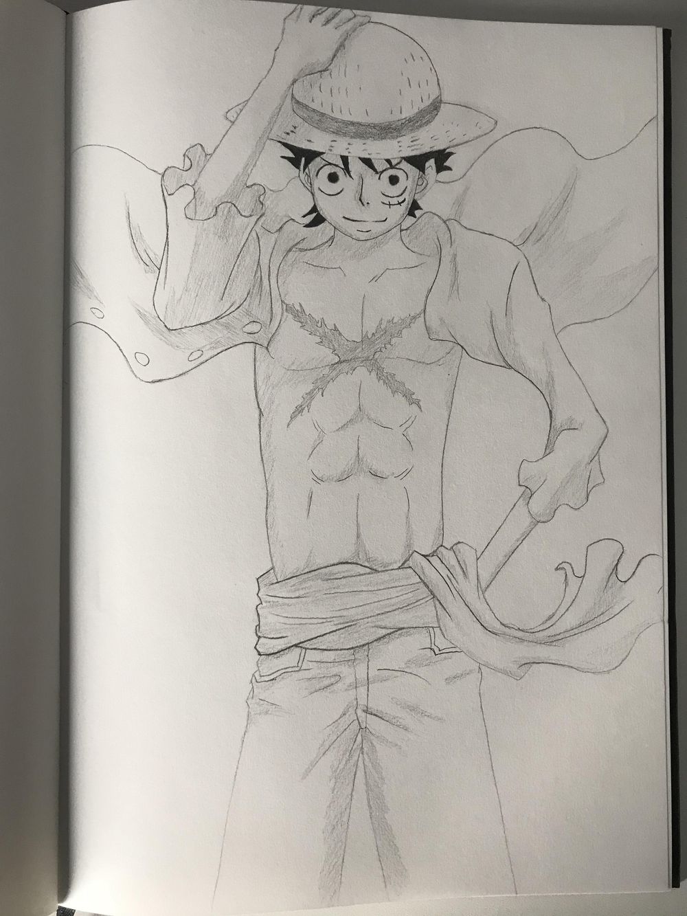 Mugiwara No Luffy - image 1 - student project