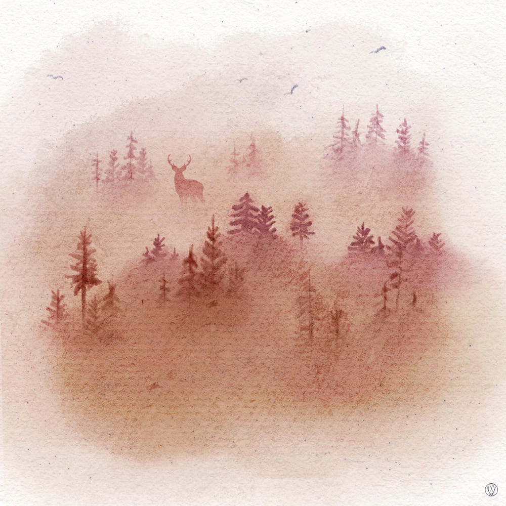 Misty pinetree forest - image 1 - student project