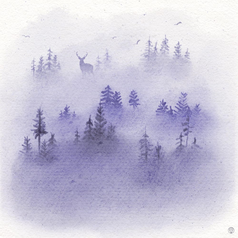 Misty pinetree forest - image 2 - student project