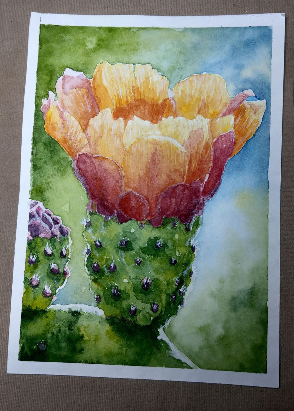 Opuntia Flower - image 1 - student project