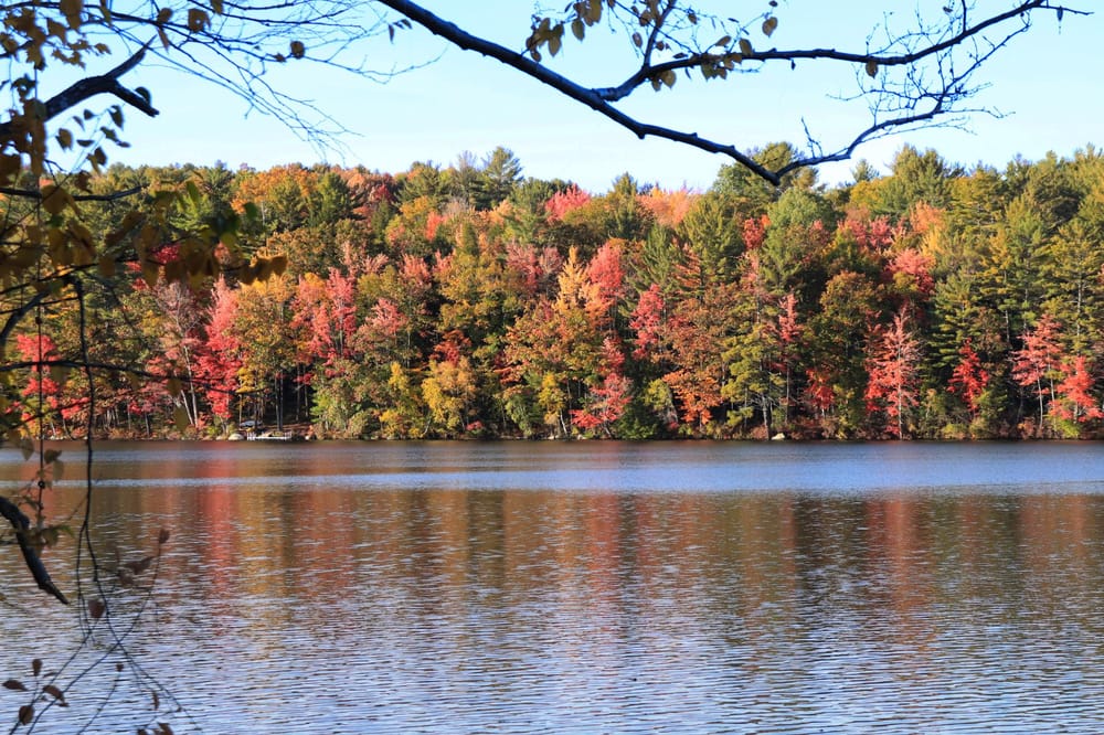 Foliage Edit - image 1 - student project