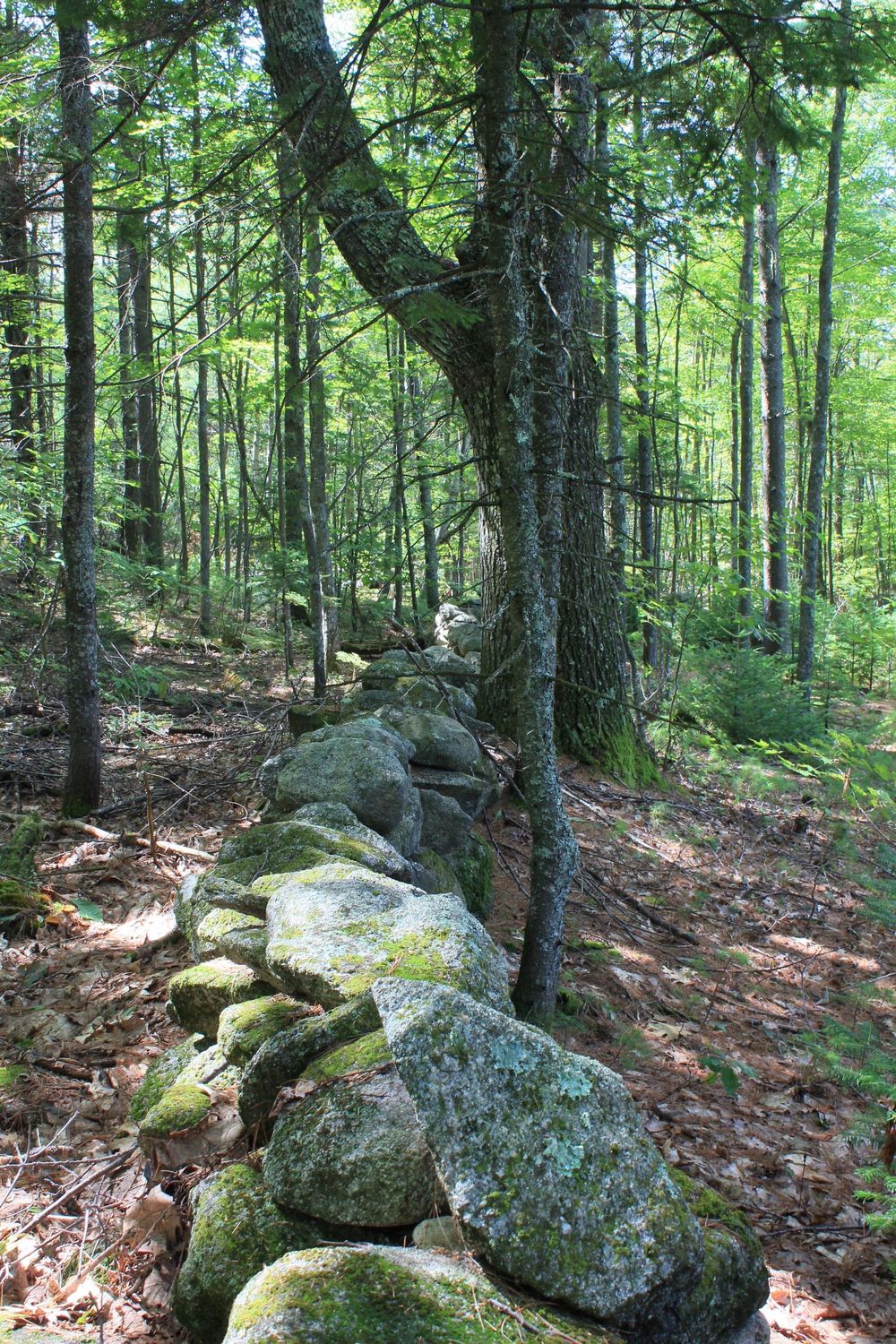 Stone Wall - image 1 - student project