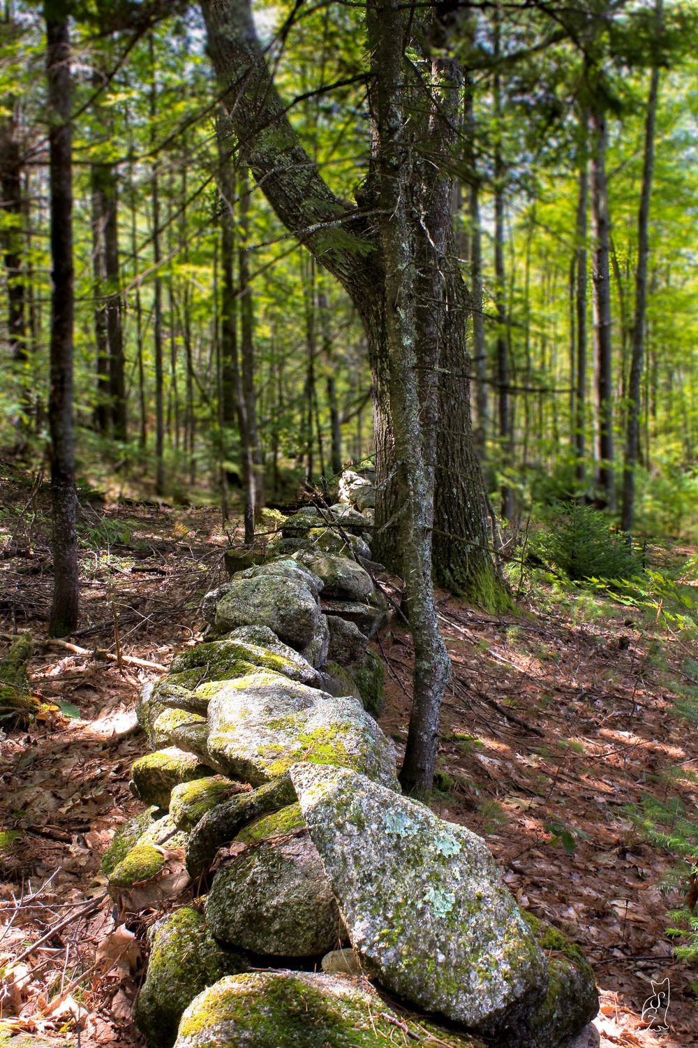 Stone Wall - image 3 - student project