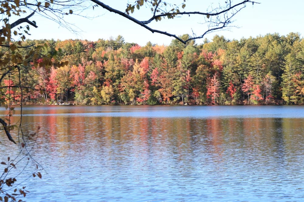 Foliage Edit - image 2 - student project