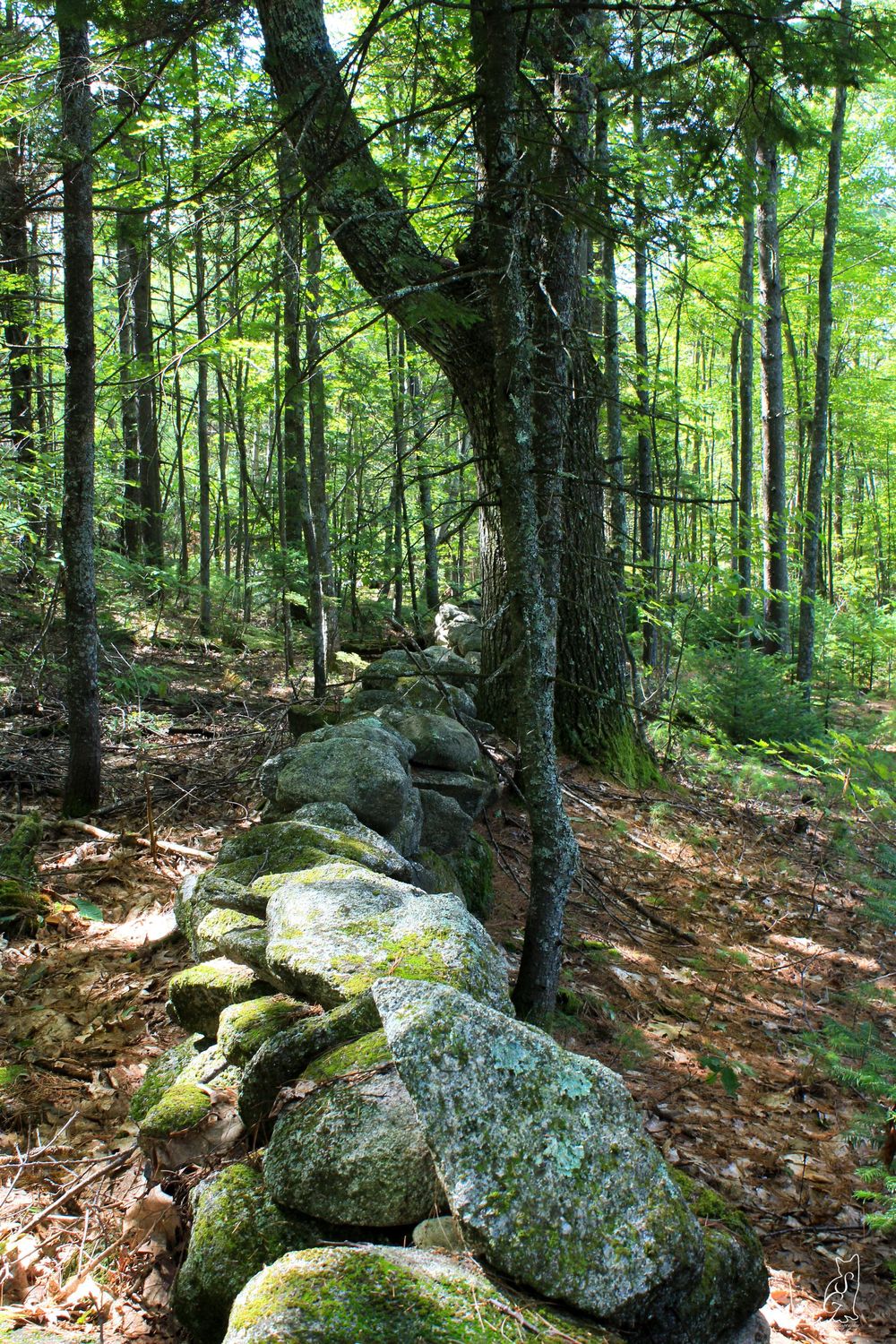 Stone Wall - image 2 - student project