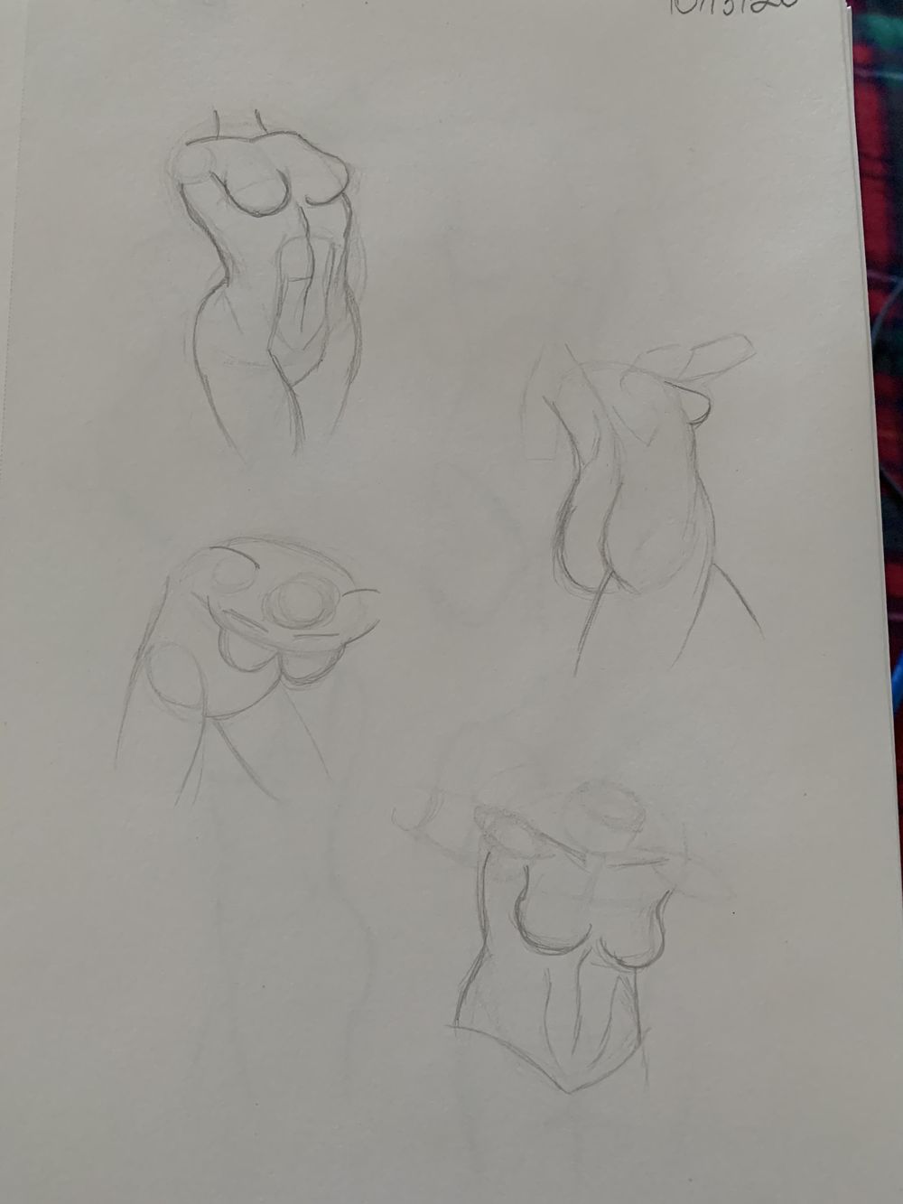 Torso Anatomy Project - image 3 - student project