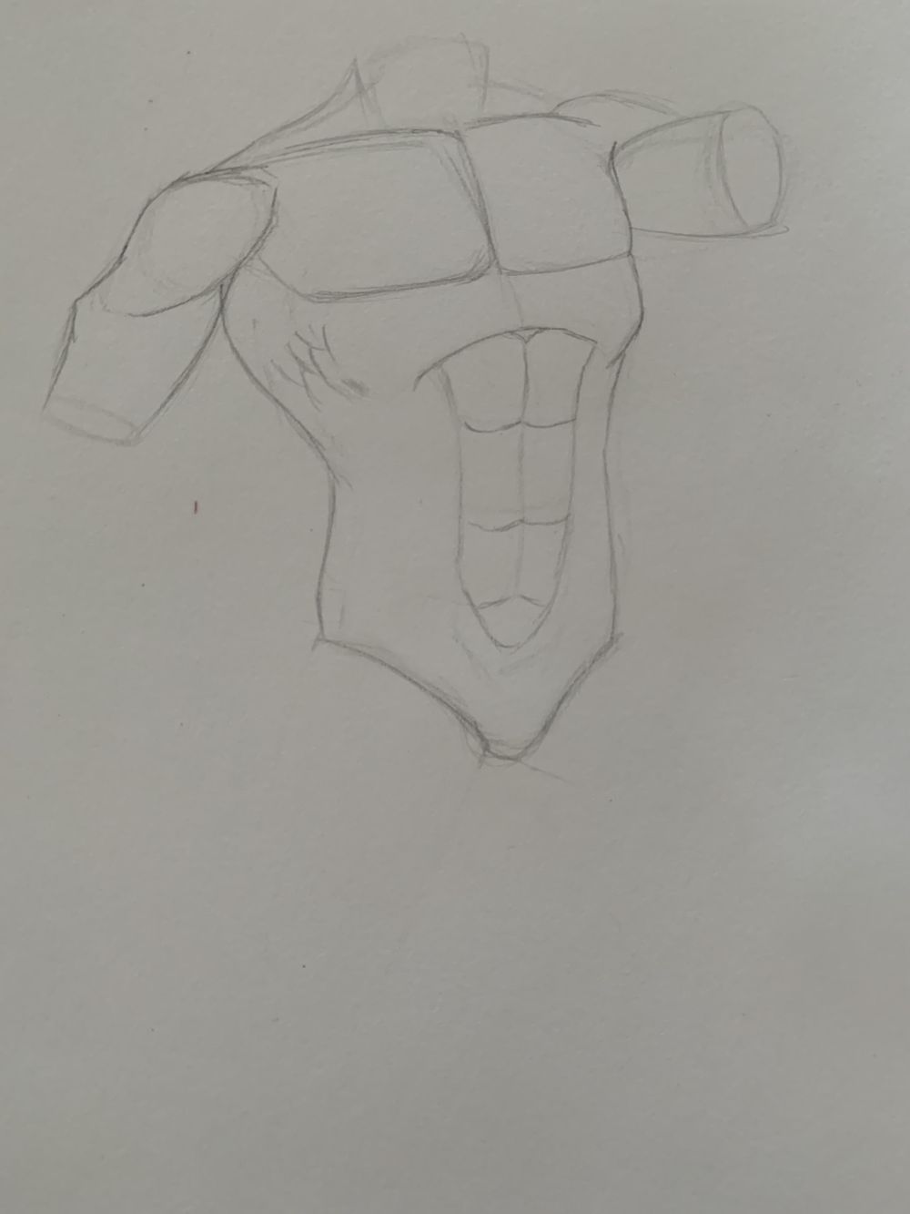 Torso Anatomy Project - image 5 - student project